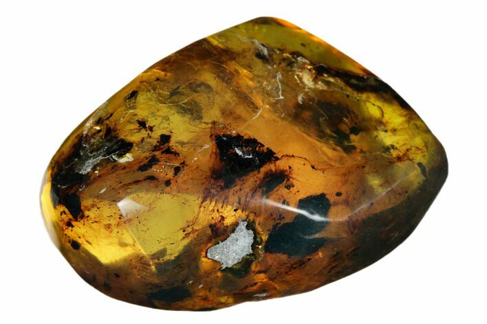 Polished Chiapas Amber ( g) - Mexico #180510